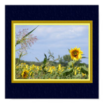 Sunflower Monarch Poster posters