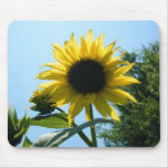 Sunflower Mouse Mat