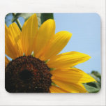 Sunflower Mouse Mats