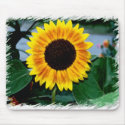 Sunflower Mouse Pad mousepads by abbie132 Sunflower Mouse Pad mousepads