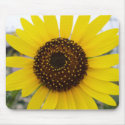 Sunflower mousepad by EnMotion Sunflower mousepad