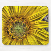 Sunflower mousepads