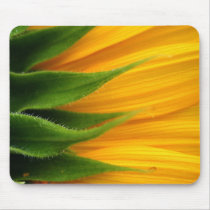 Sunflower mousepads