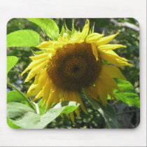 Sunflower Mousepad