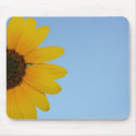 Sunflower mousepads by mindyschroder Sunflower mousepads