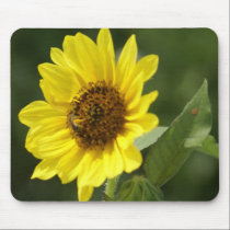 Sunflower mousepad mousepads
