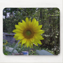 Sunflower mousepads