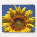 Sunflower mousepads