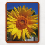 Sunflower Mousepad mousepads