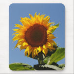 Sunflower Mousepad mousepads