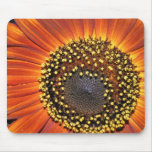 Sunflower mousepad