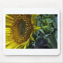 Sunflower mousepads
