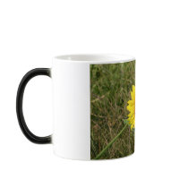 "SUNFLOWER" mugs by mark59956 "SUNFLOWER" mugs