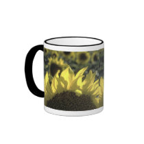 Sunflower mugs