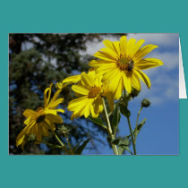 sunflower n bumblebee cards