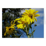 sunflower n bumblebee card