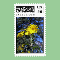sunflower n pine postage postage