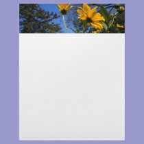 Sunflower N Sky Letterhead letterhead