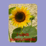 Sunflower N Stucco Fridge Magnet premium magnets