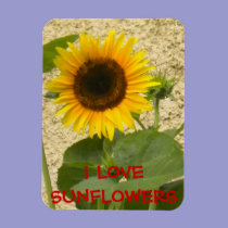 Sunflower N Stucco Fridge Magnet magnets
