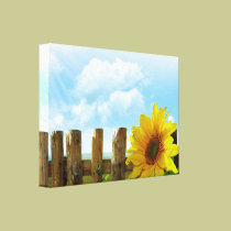 Sunflower Nature Beauty canvas prints