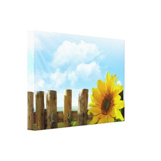 Sunflower Nature Beauty Stretched Canvas Print