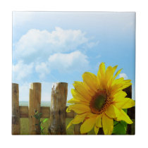 Sunflower Nature Beauty tiles