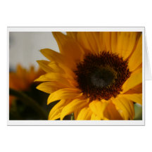 Sunflower Note Card