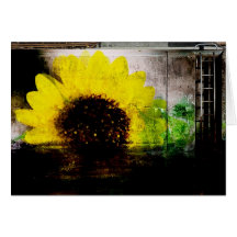 Sunflower Note Card