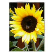 Sunflower Note Card