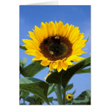 Sunflower Note Card