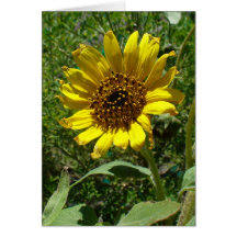 Sunflower Note Card - Customized