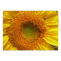 Sunflower Note Cards