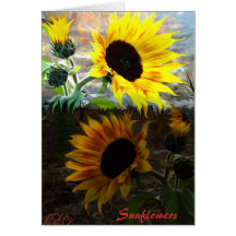 Sunflower Note Cards