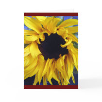 sunflower notecard by stucker111 sunflower notecard