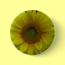 Sunflower, Old Orchard Beach, Maine buttons