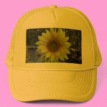Sunflower, Old Orchard Beach, Maine hats