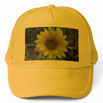 Sunflower, Old Orchard Beach, Maine hats by eelkat Sunflower, Old Orchard Beach, Maine hats