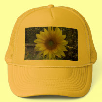 Sunflower, Old Orchard Beach, Maine hats