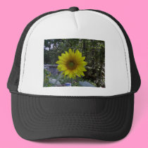 Sunflower, Old Orchard Beach, Maine hats