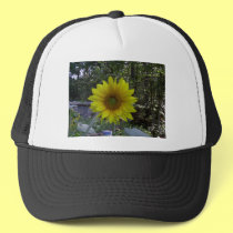 Sunflower, Old Orchard Beach, Maine hats