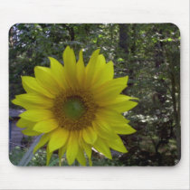Sunflower, Old Orchard Beach, Maine mousepads