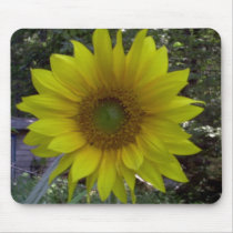 Sunflower, Old Orchard Beach, Maine mousepads