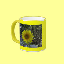 Sunflower, Old Orchard Beach, Maine mugs