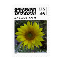 Sunflower, Old Orchard Beach, Maine postage