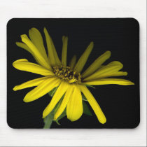 Sunflower on Black - Mousepad mousepads