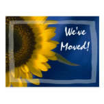 Sunflower on Blue Change of Address Postcard