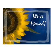 Sunflower on Blue Change of Address Postcard