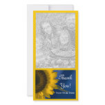 Sunflower on Blue Thank You