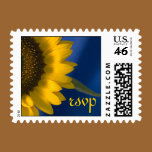 Sunflower on Blue Wedding RSVP Postage Stamp stamps